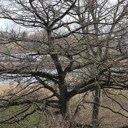 Appartementhaus Moewe Poel