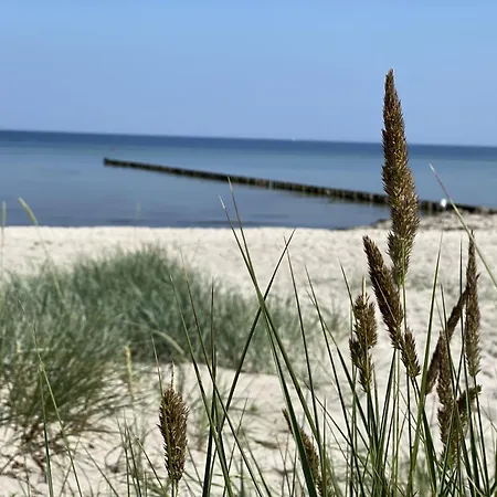 Appartementhaus Moewe 3*