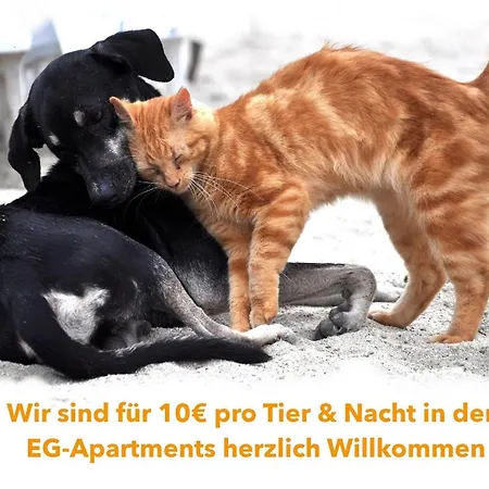 Apart Otel Appartementhaus Moewe