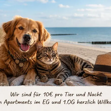 Appartementhaus Moewe 3*