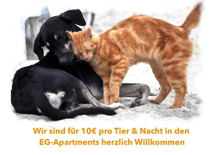 شقة فندقية Appartementhaus Moewe